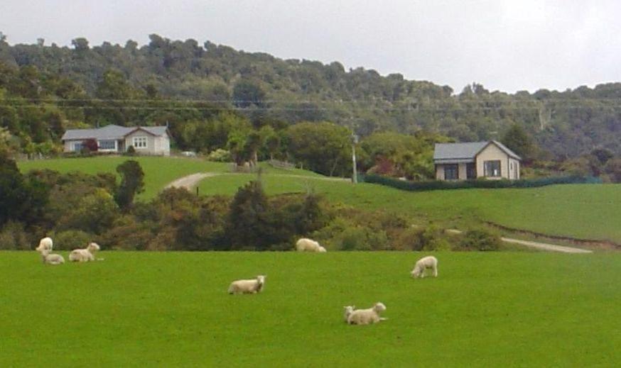 Hilltop Accommodation Catlins Papatowai Luaran gambar