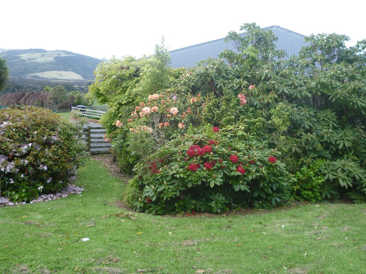 Hilltop Accommodation Catlins Papatowai Luaran gambar