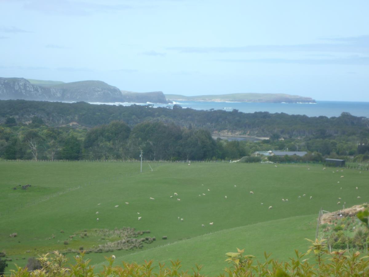 Hilltop Accommodation Catlins Papatowai Luaran gambar