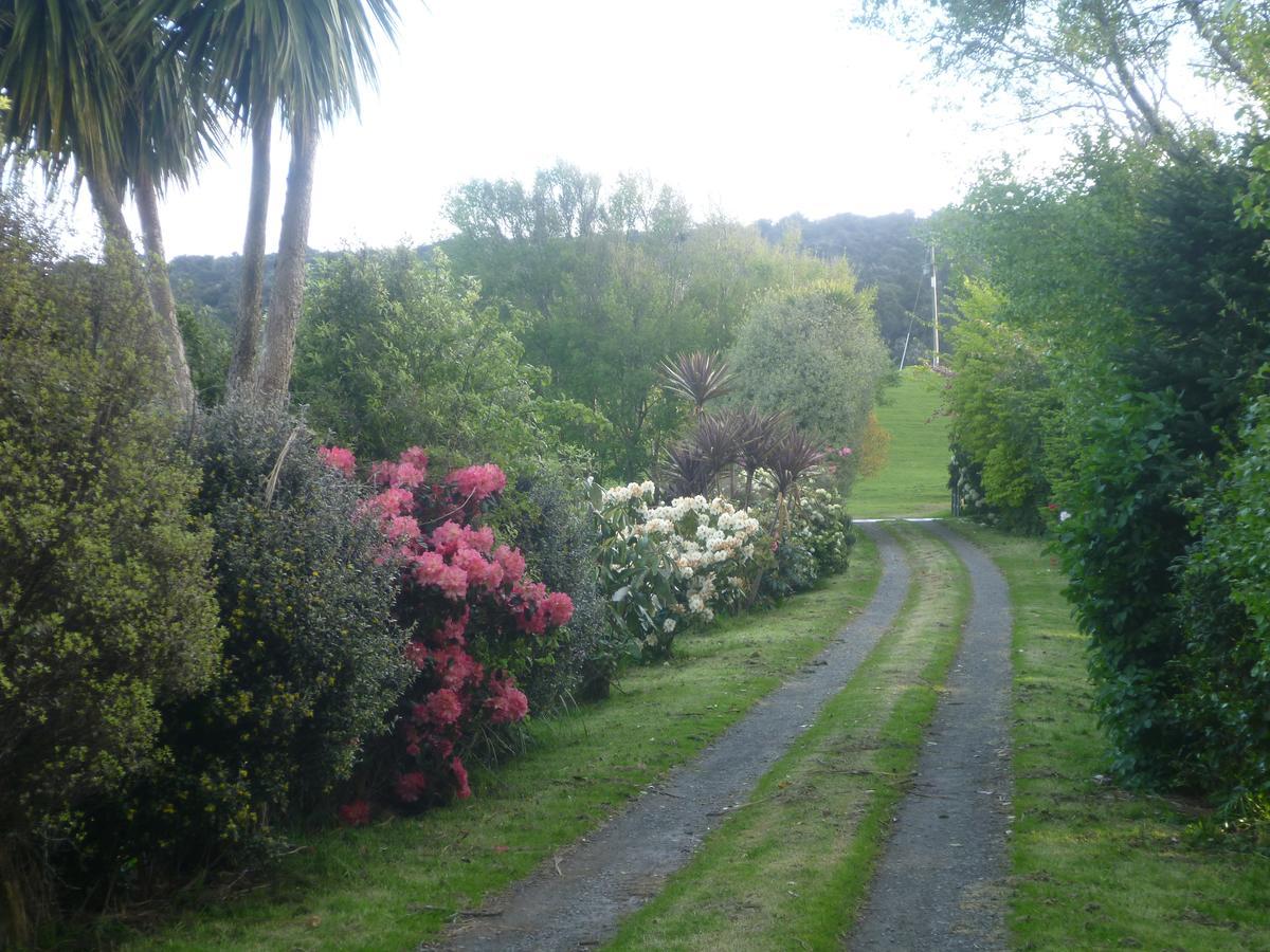 Hilltop Accommodation Catlins Papatowai Luaran gambar